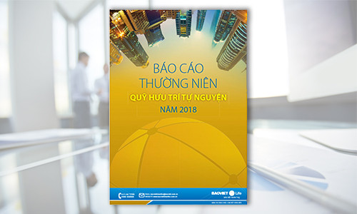 Báo cáo Quỹ Hưu trí tự nguyện năm 2018