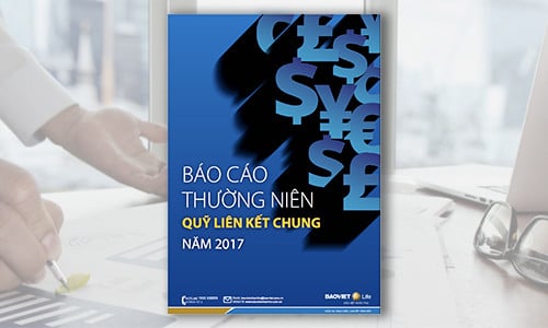 Báo cáo Thường niên Quỹ Liên kết Chung năm 2017