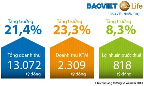 Báo cáo kết quả kinh doanh năm 2015
