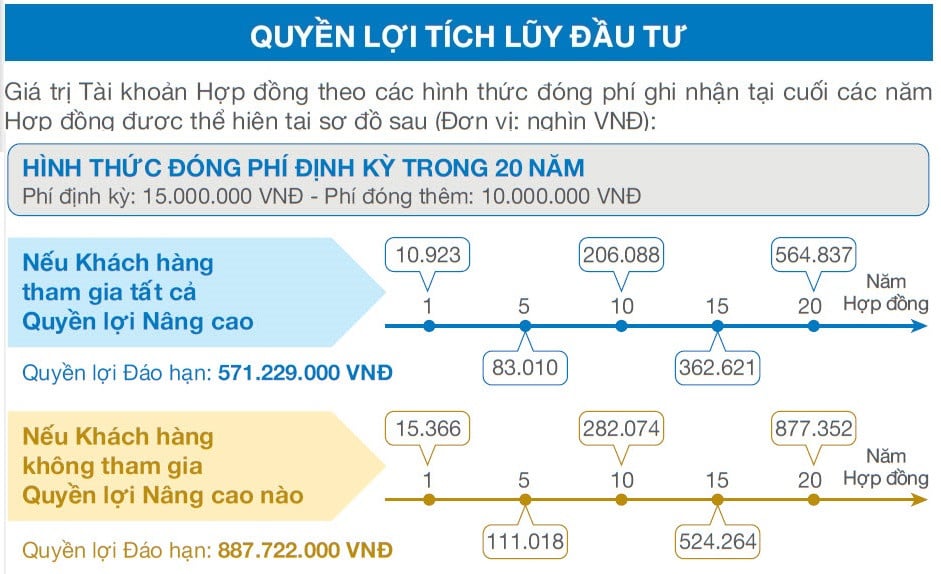 Quyền lợi tích lũy đầu tư An Phát Cát Tường - đóng phí 20 năm