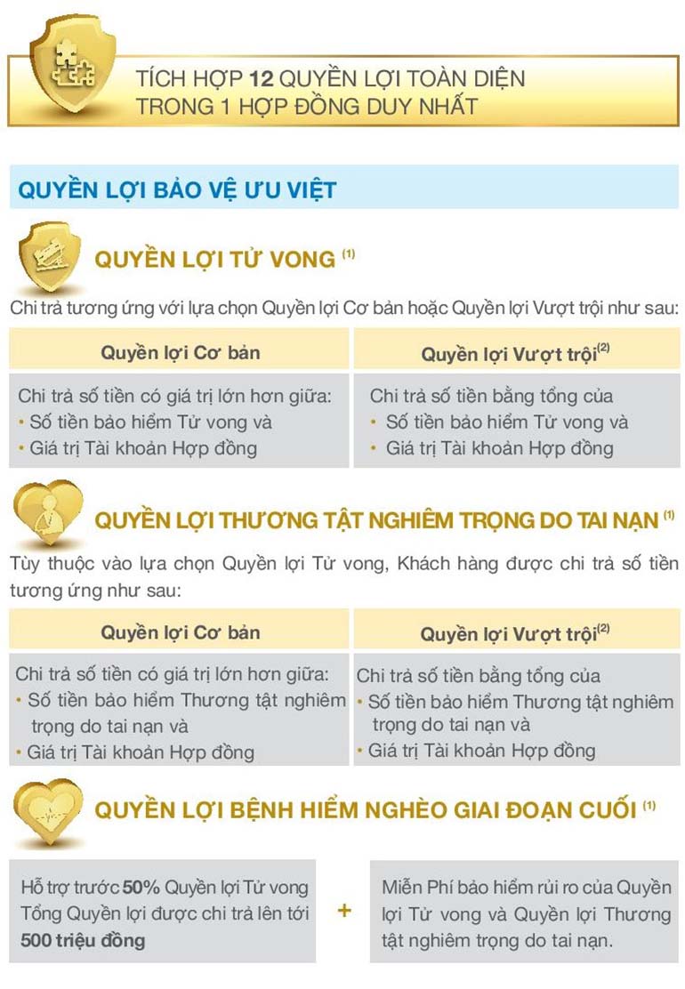 12 quyền lợi bảo hiểm