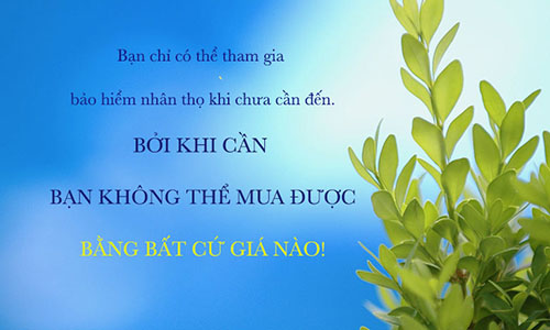 Bảo hiểm nhân thọ là gì? Cách thức hoạt động như thế nào? - Bảo Việt Nhân Thọ - Công ty bảo hiểm nhân thọ hàng đầu Việt Nam