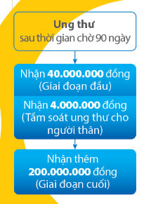 Khi anh Nam bị Ung thư