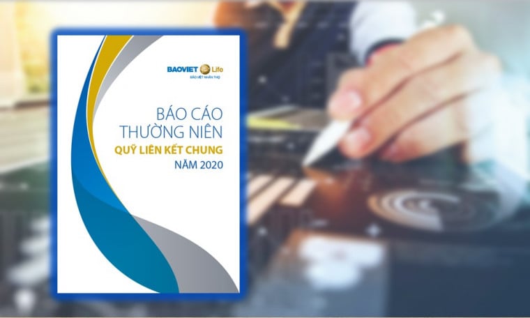 Báo cáo Thường niên Quỹ Liên kết Chung năm 2020