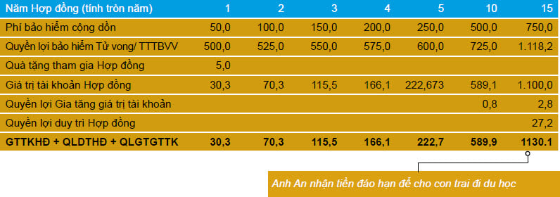 QUYỀN LỢI BẢO HIỂM