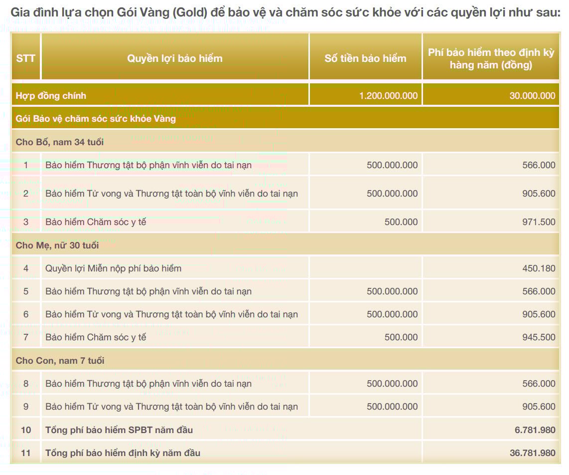 BỐI CẢNH MINH HỌA -<strong> GÓI VÀNG</strong>