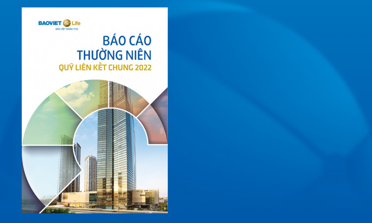 Báo cáo Thường niên Quỹ Liên kết Chung năm 2022