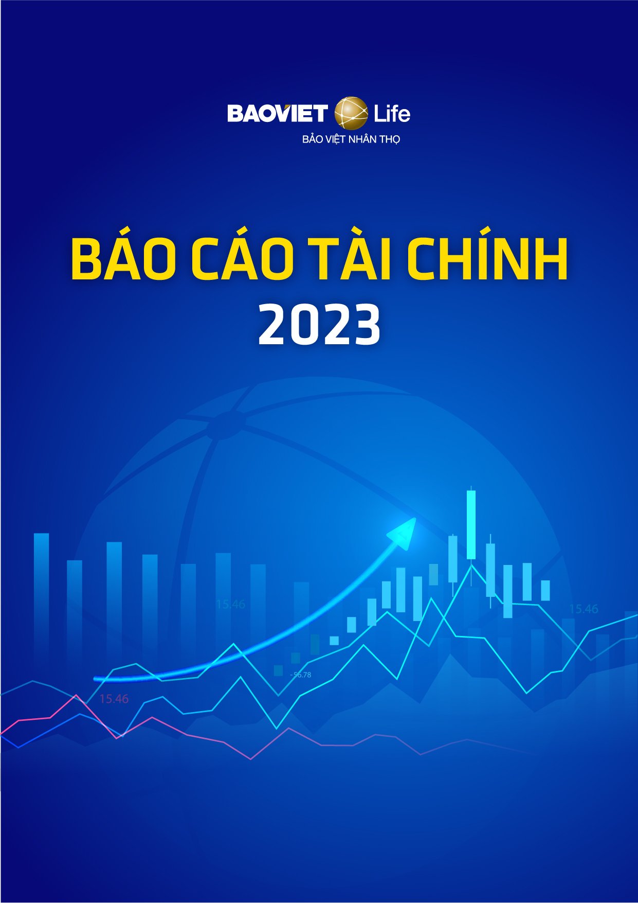 Báo cáo  Tài chính  2022
