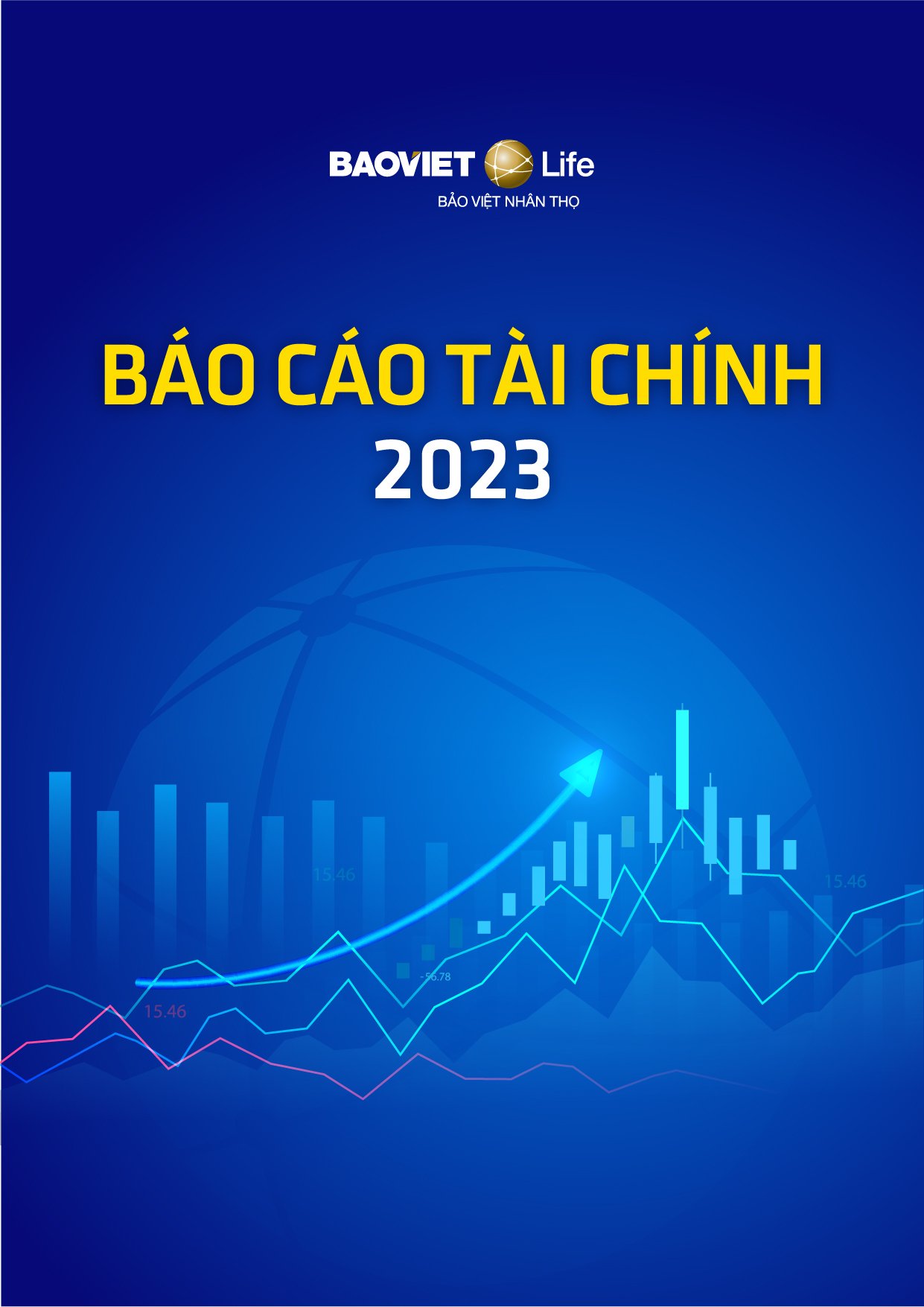 Báo cáo  Tài chính  2023