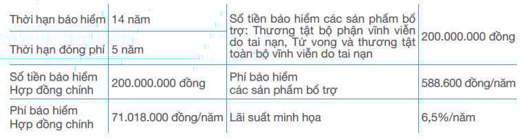 <strong>PHƯƠNG ÁN 2: BỐI CẢNH MINH HỌA </strong> 