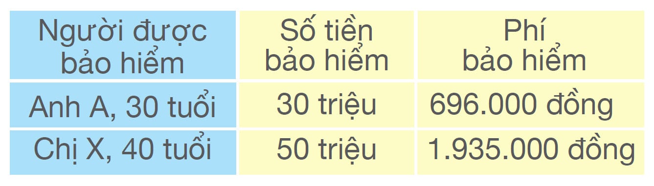 MINH HỌA QUYỀN LỢI