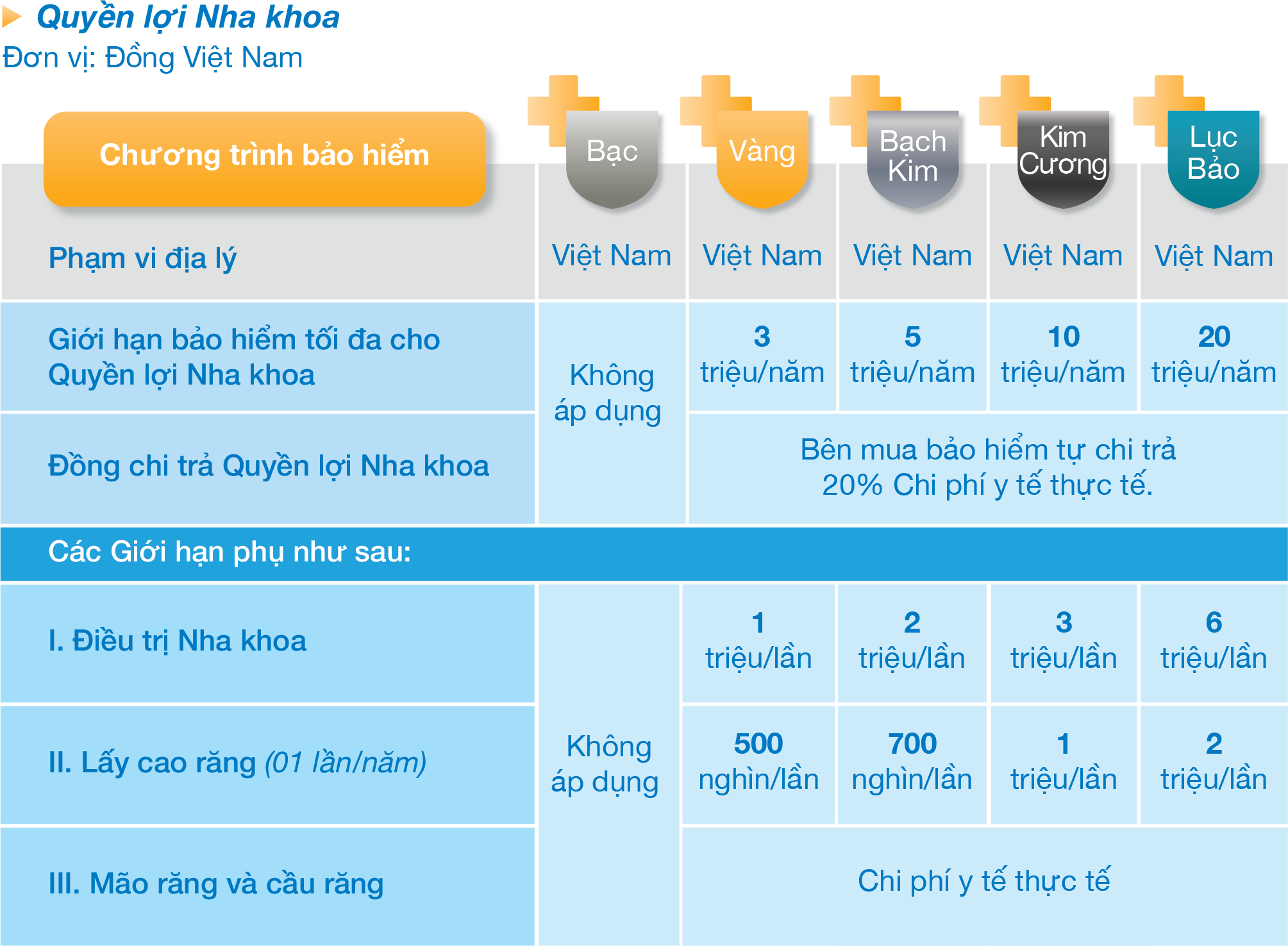 Quyền lợi Nha khoa
