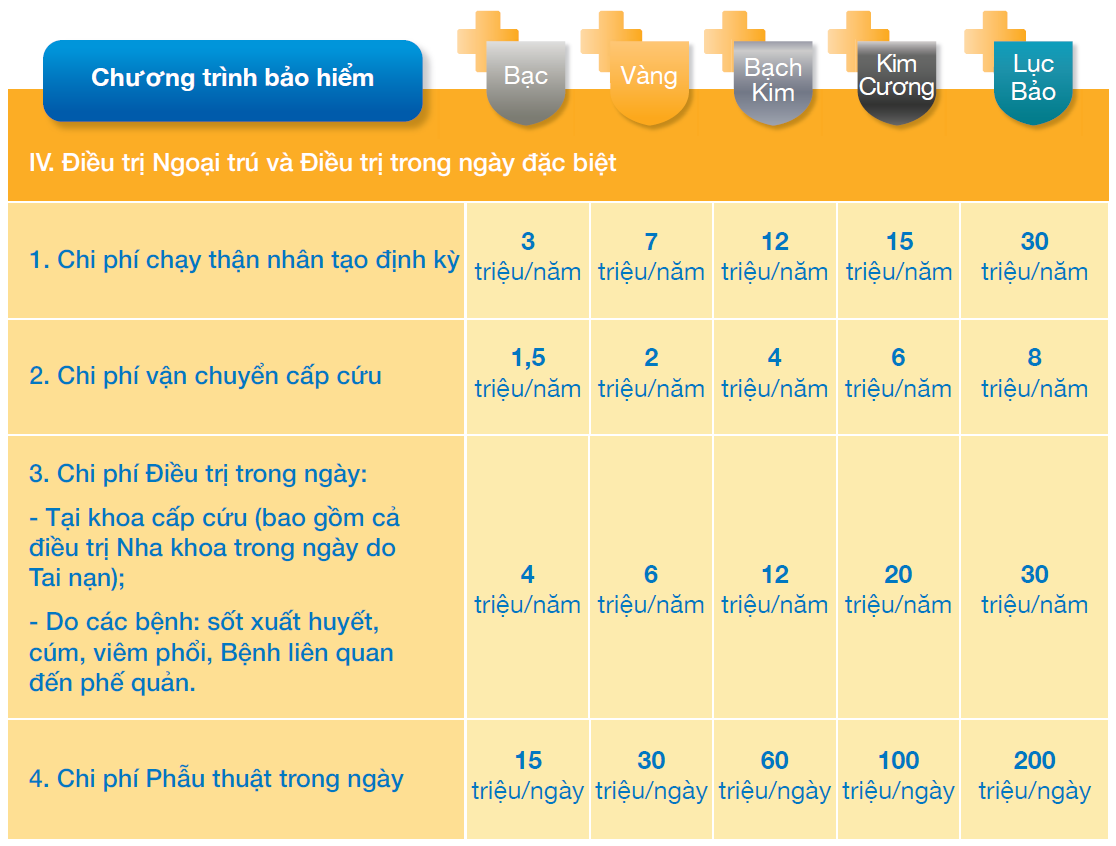 Điều trị Ngoại trú và Điều trị trong ngày đặc biệt