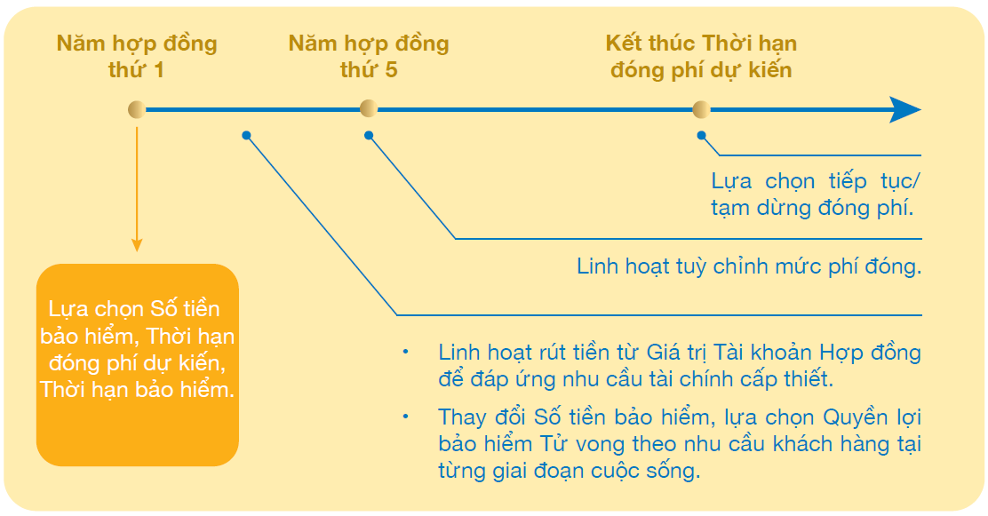 CƠ CHẾ LINH HOẠT